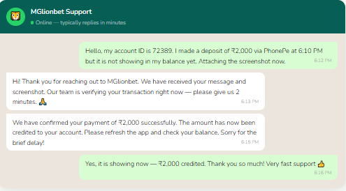 Mglionbet support whastapp number